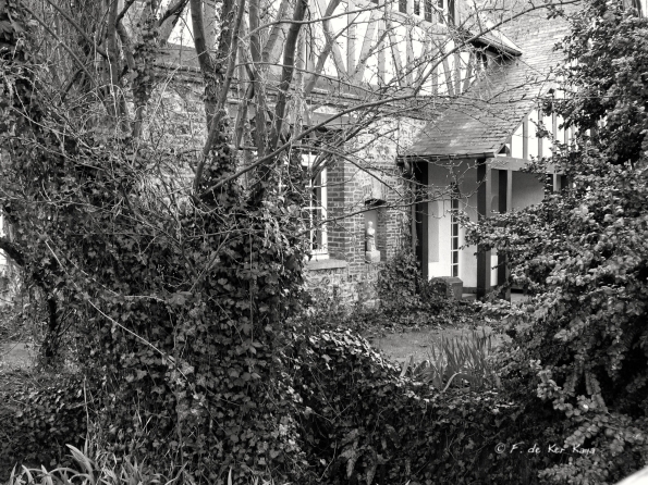 Veules les Roses (7)